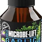 Microbe-Lift® - Garlic | Knoblauch Futterzusatz für Granulat und Flocken Futter sowie Frostfutter | Fördert die Vitalität & Futteraufnahme von Fischen. | Inhalt: 100 ml  